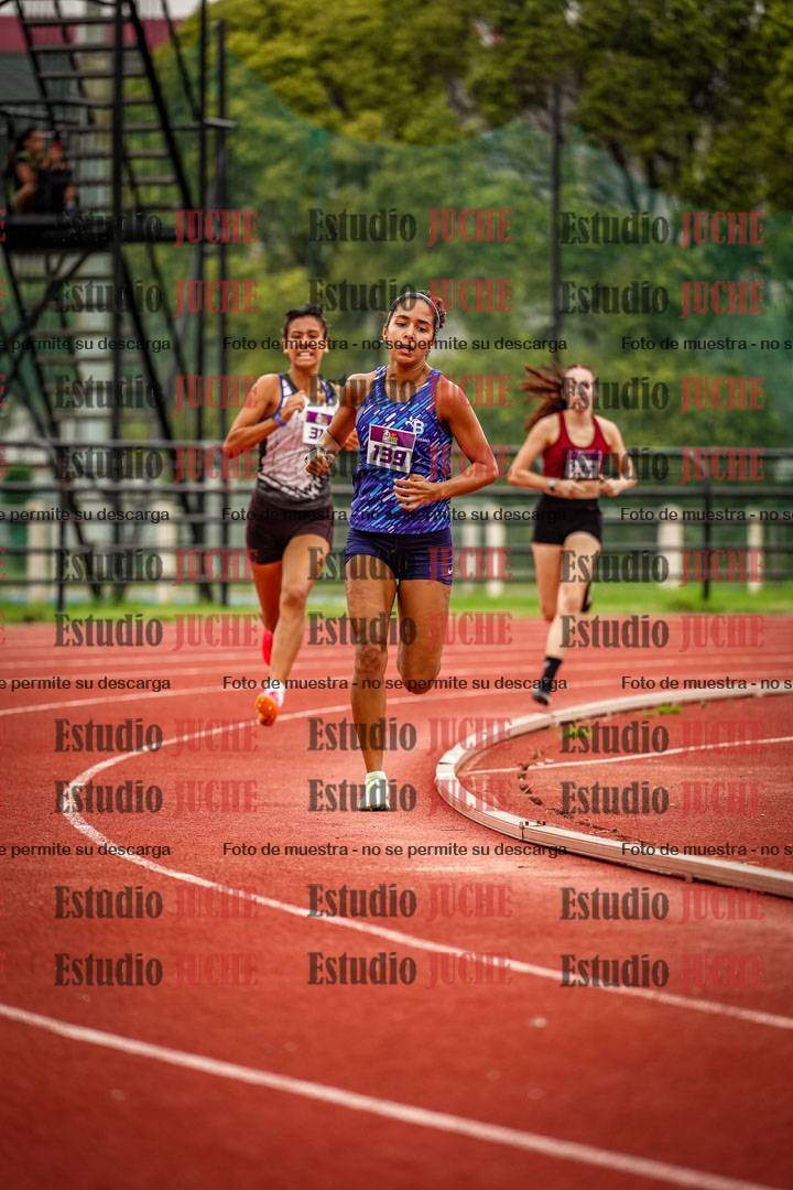 Fotos de los 800 m llanos de mujeres