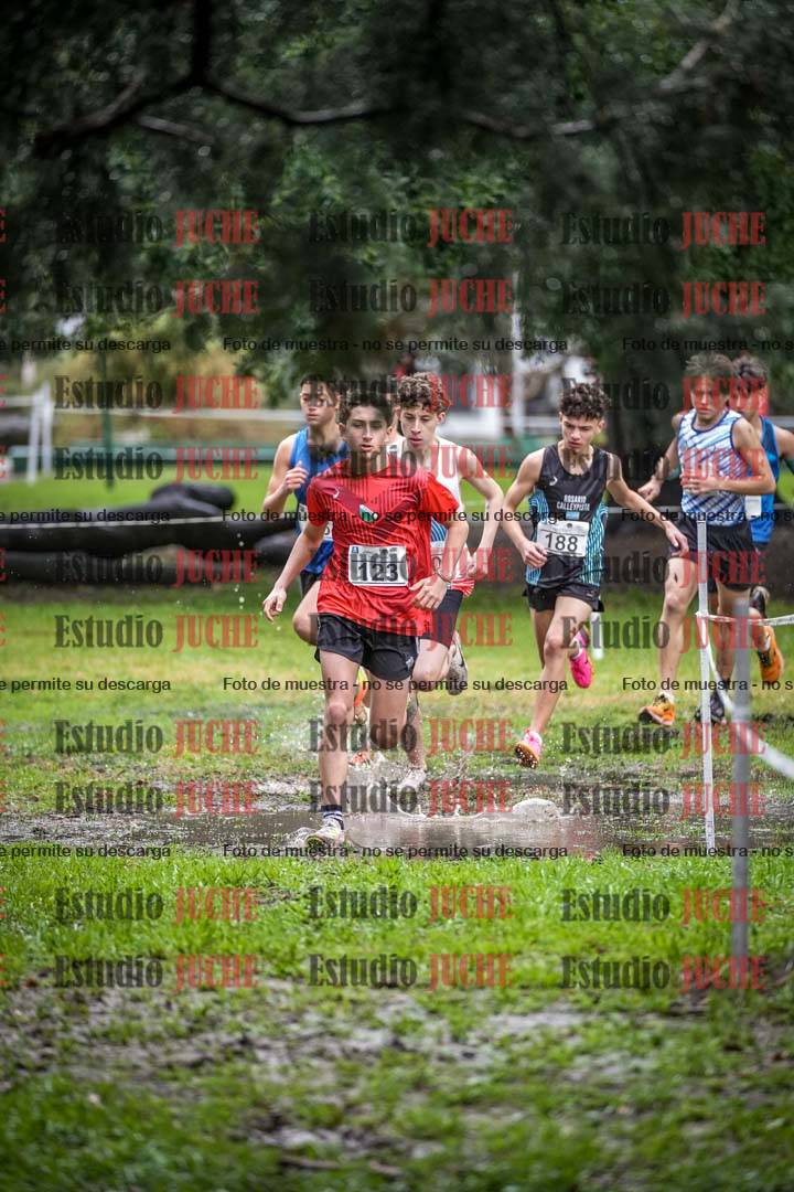 Fotos en el circuito