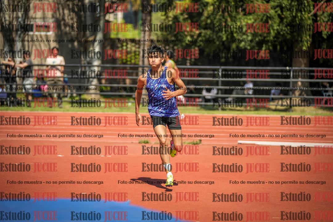 Fotos del salto en alto de varones