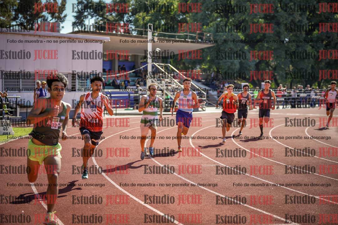 Fotos de los 800 m llanos de varones