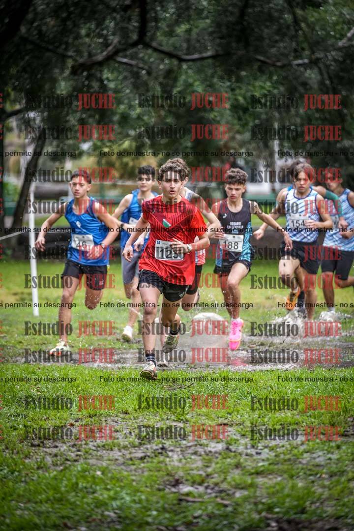 Fotos en el circuito