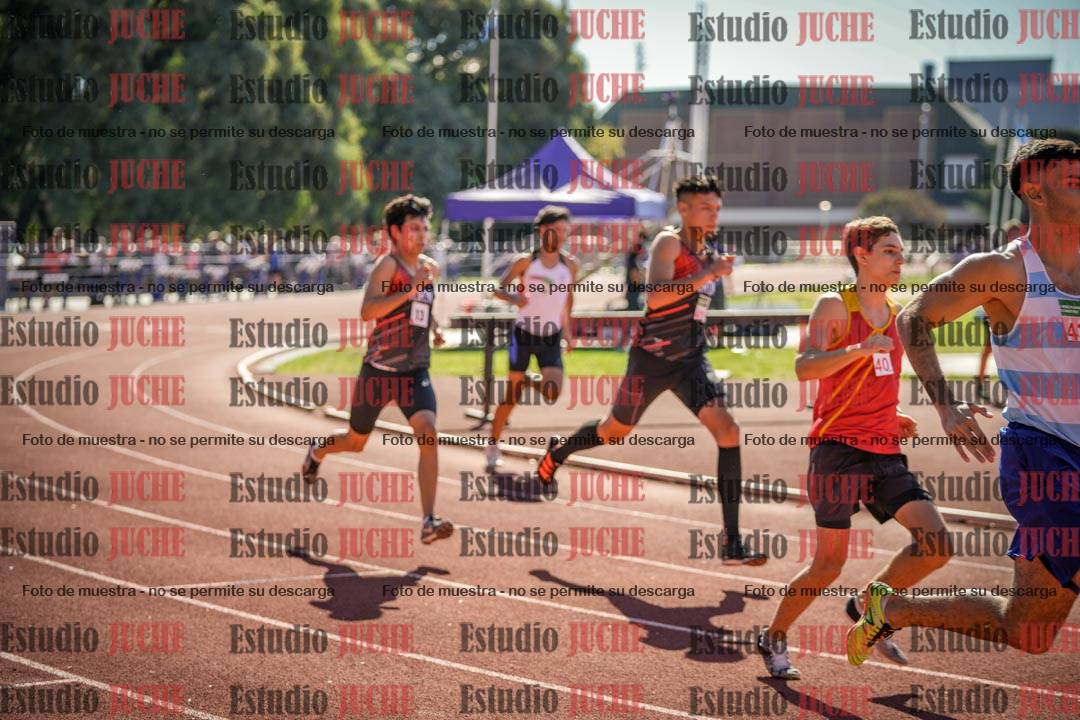 Fotos de los 800 m llanos de varones