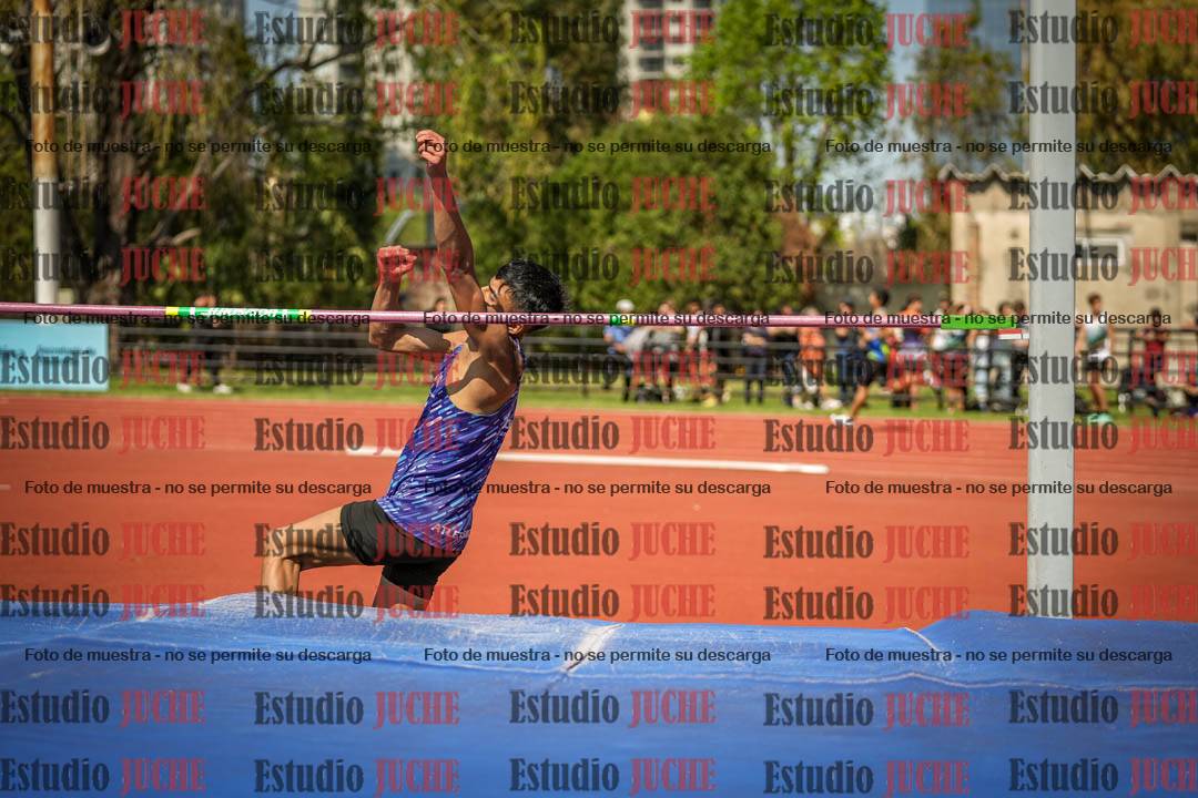Fotos del salto en alto de varones