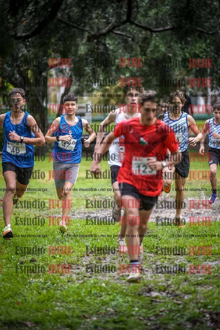 Fotos en el circuito