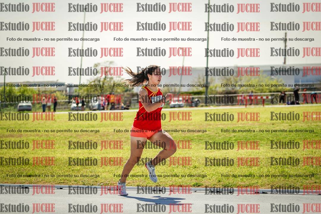 Fotos de los 800 m llanos de mujeres