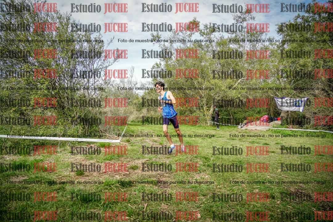 Fotos en el circuito