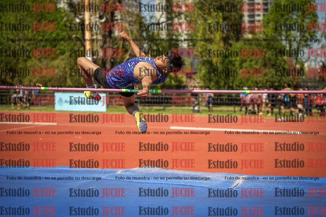 Fotos del salto en alto de varones