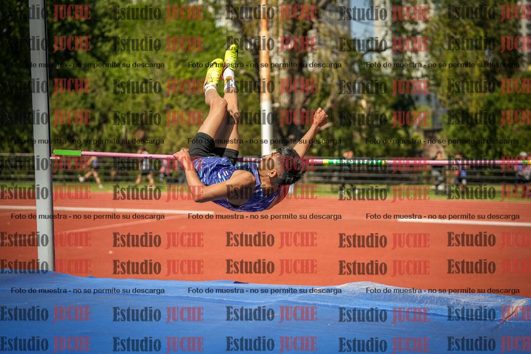 Fotos del salto en alto de varones