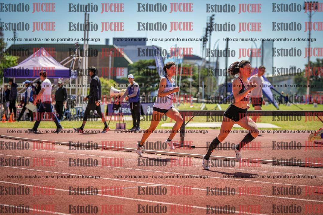 Fotos de los 800 m llanos de mujeres