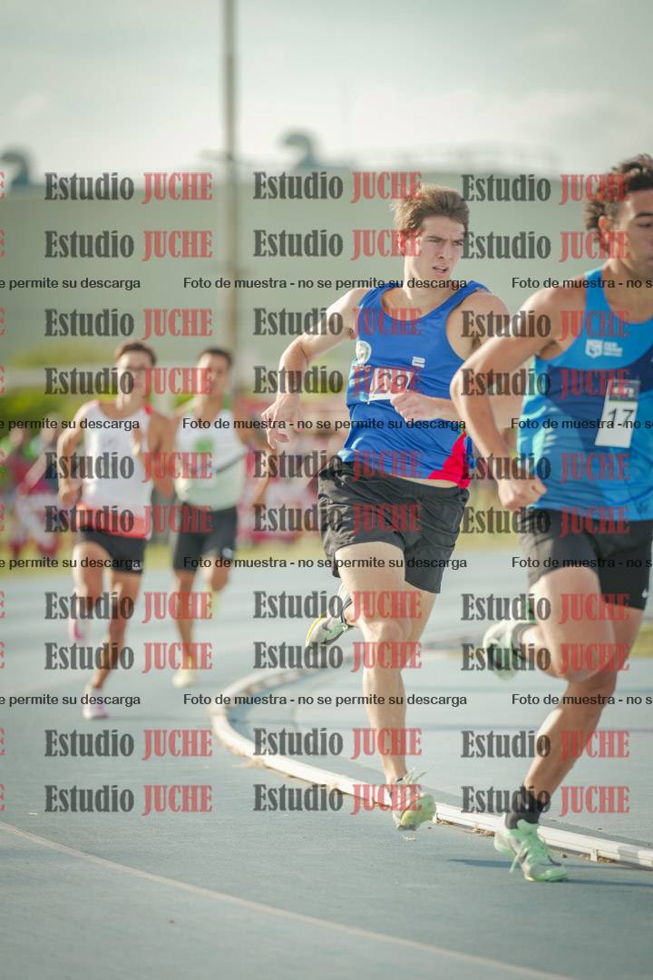 Fotos de los 800 m llanos de varones