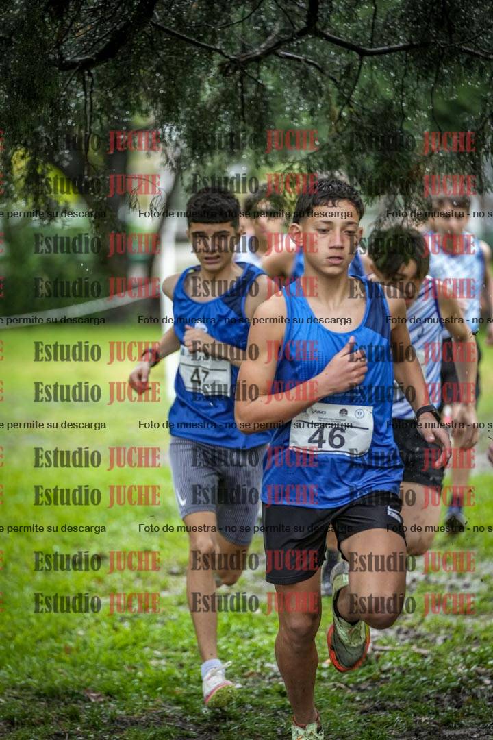 Fotos en el circuito