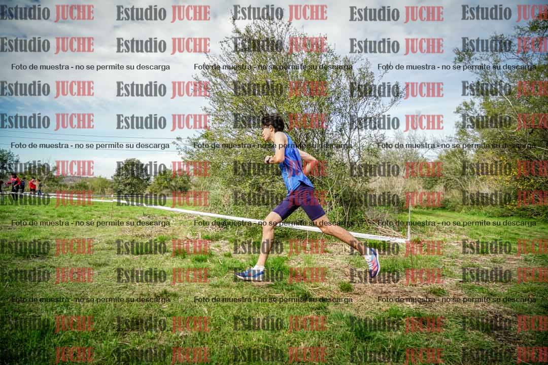 Fotos en el circuito