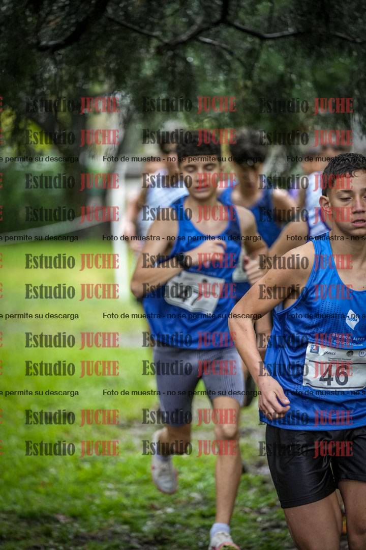 Fotos en el circuito