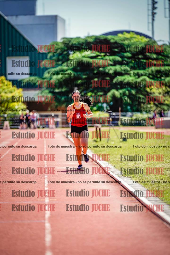 Fotos de los 800 m llanos de mujeres
