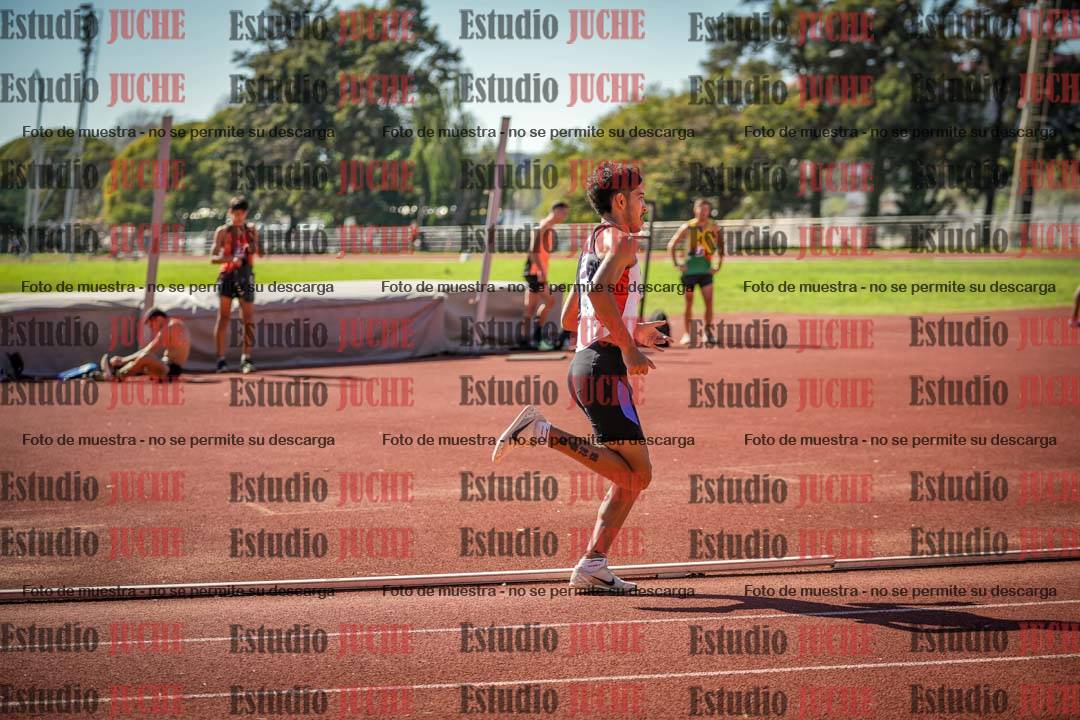Fotos de los 800 m llanos de varones