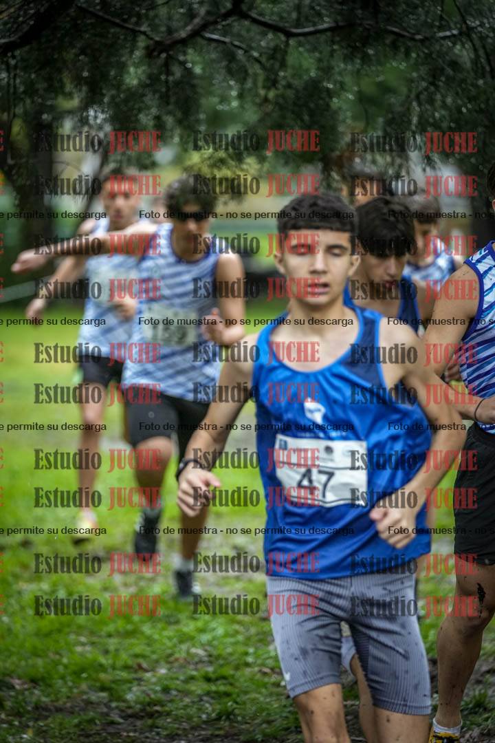 Fotos en el circuito