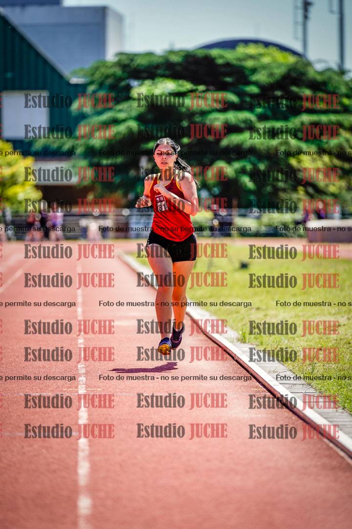 Fotos de los 800 m llanos de mujeres