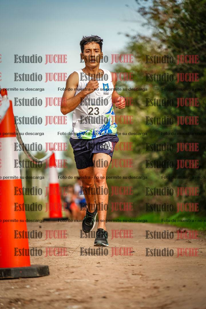Fotos en el circuito