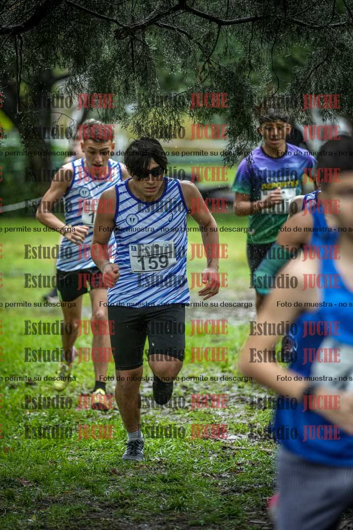 Fotos en el circuito