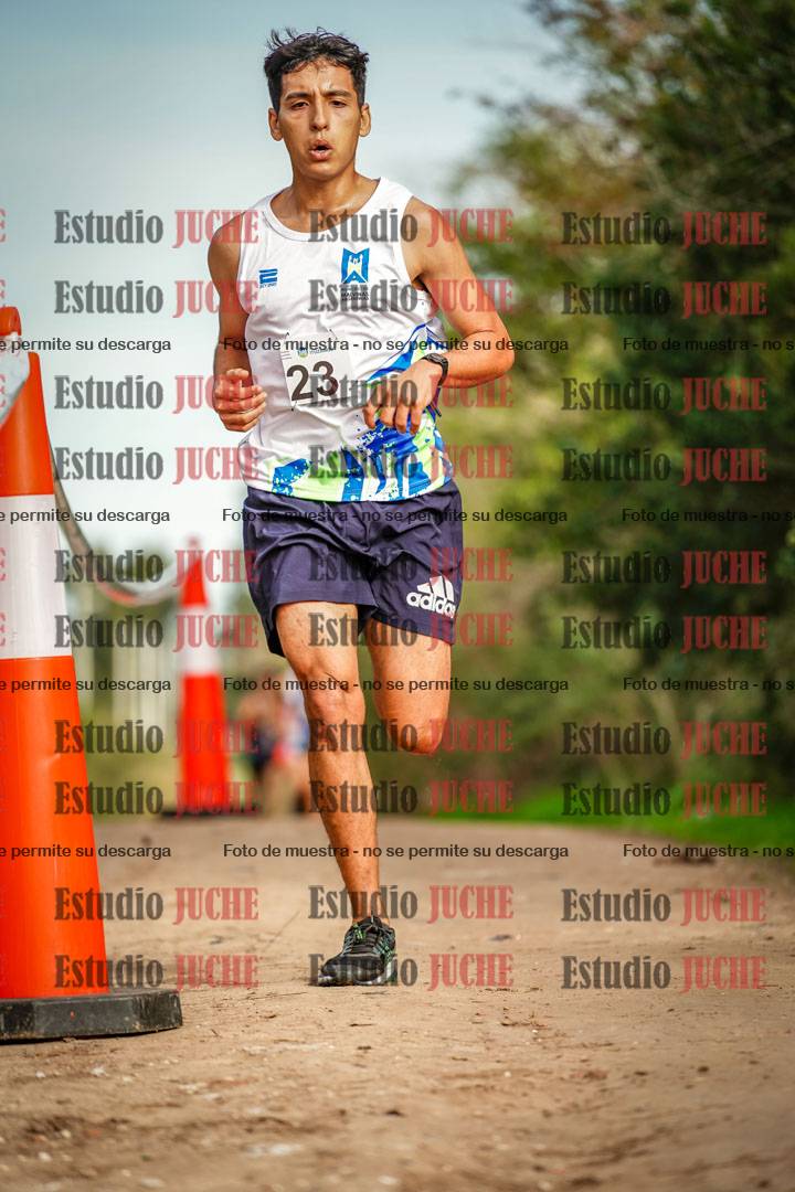 Fotos en el circuito