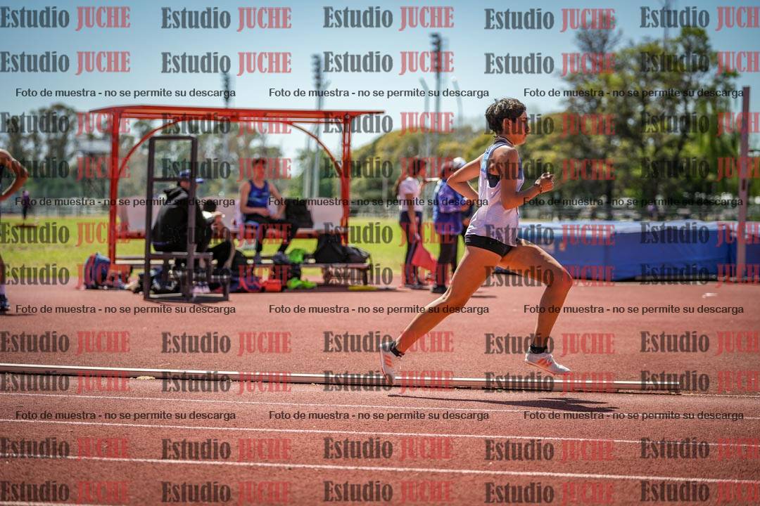 Fotos de los 800 m llanos de mujeres