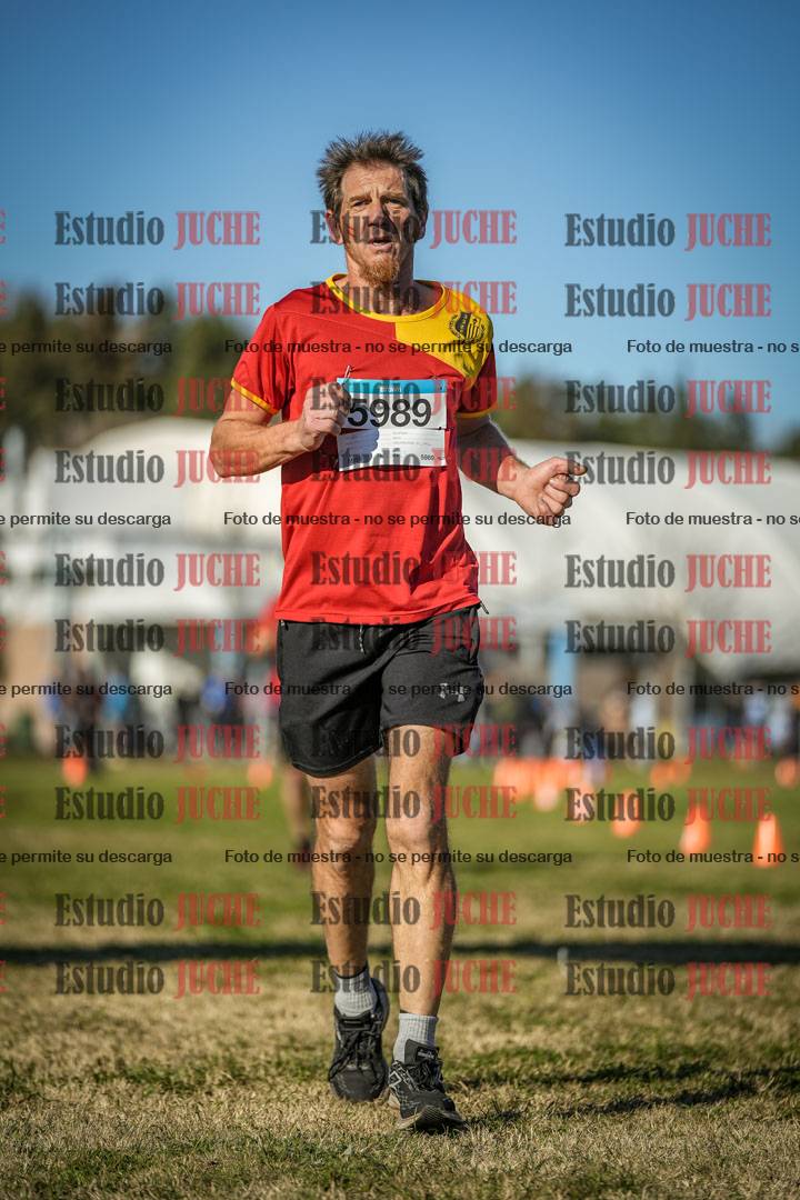 Fotos de las llegadas