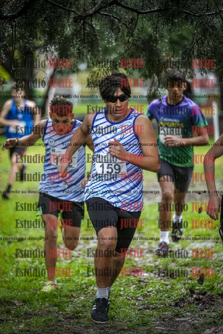 Fotos en el circuito