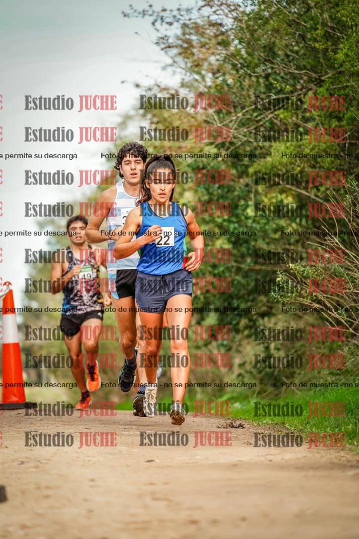 Fotos en el circuito