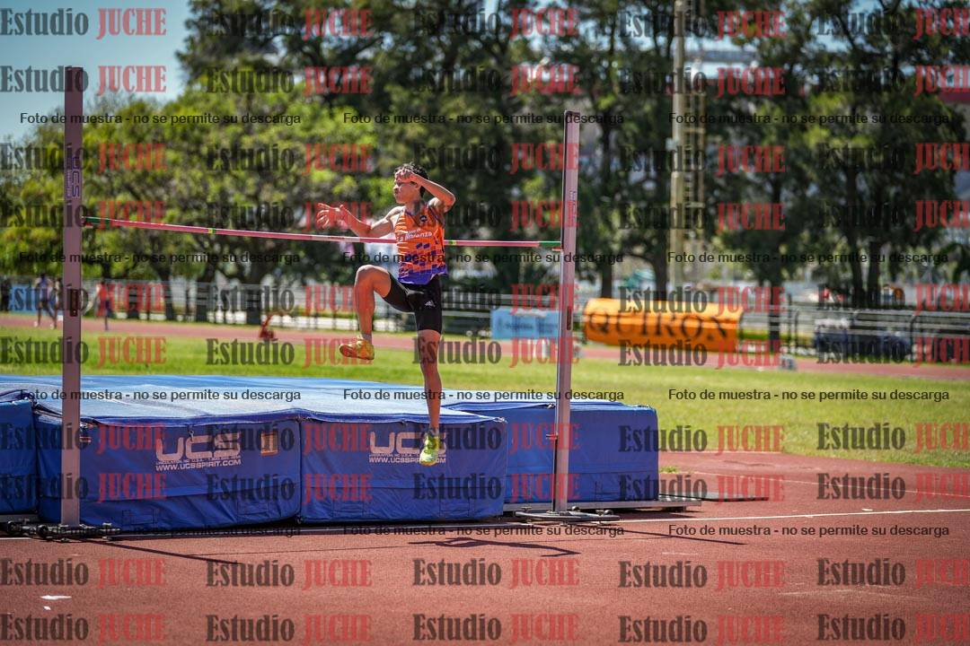 Fotos del salto en alto de varones