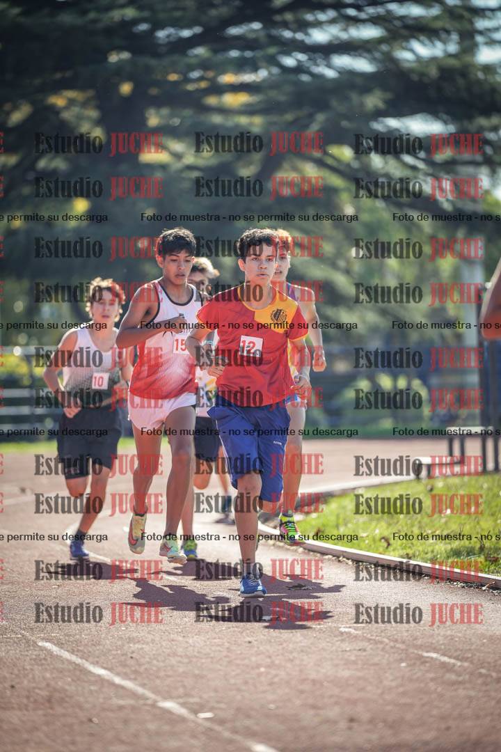 Fotos de los 2400 m llanos de varones