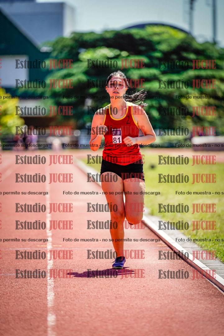 Fotos de los 800 m llanos de mujeres