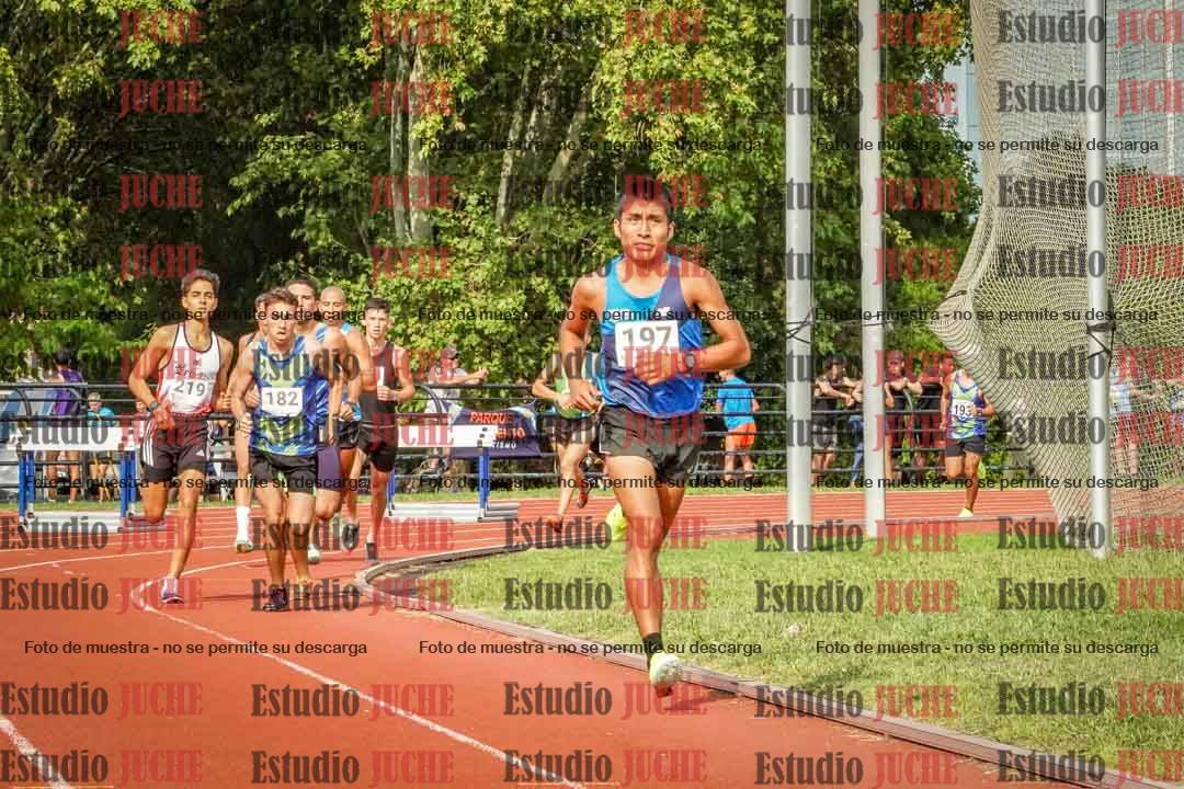 Fotos de los 3000 m llanos de varones