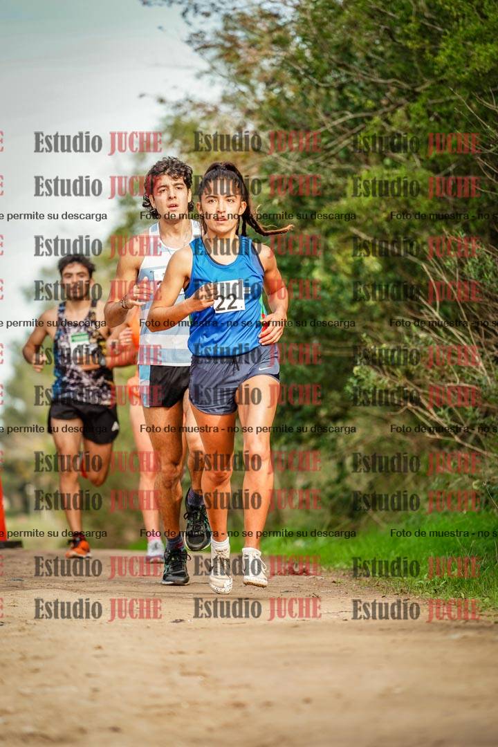 Fotos en el circuito