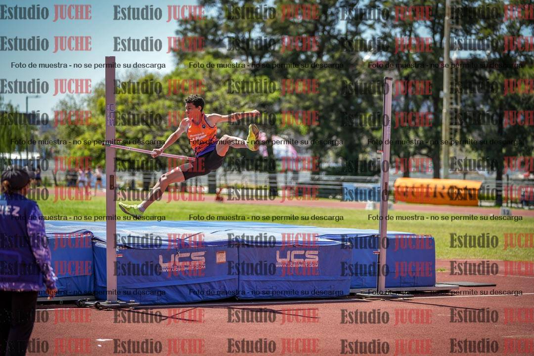Fotos del salto en alto de varones