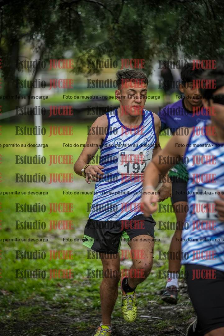 Fotos en el circuito