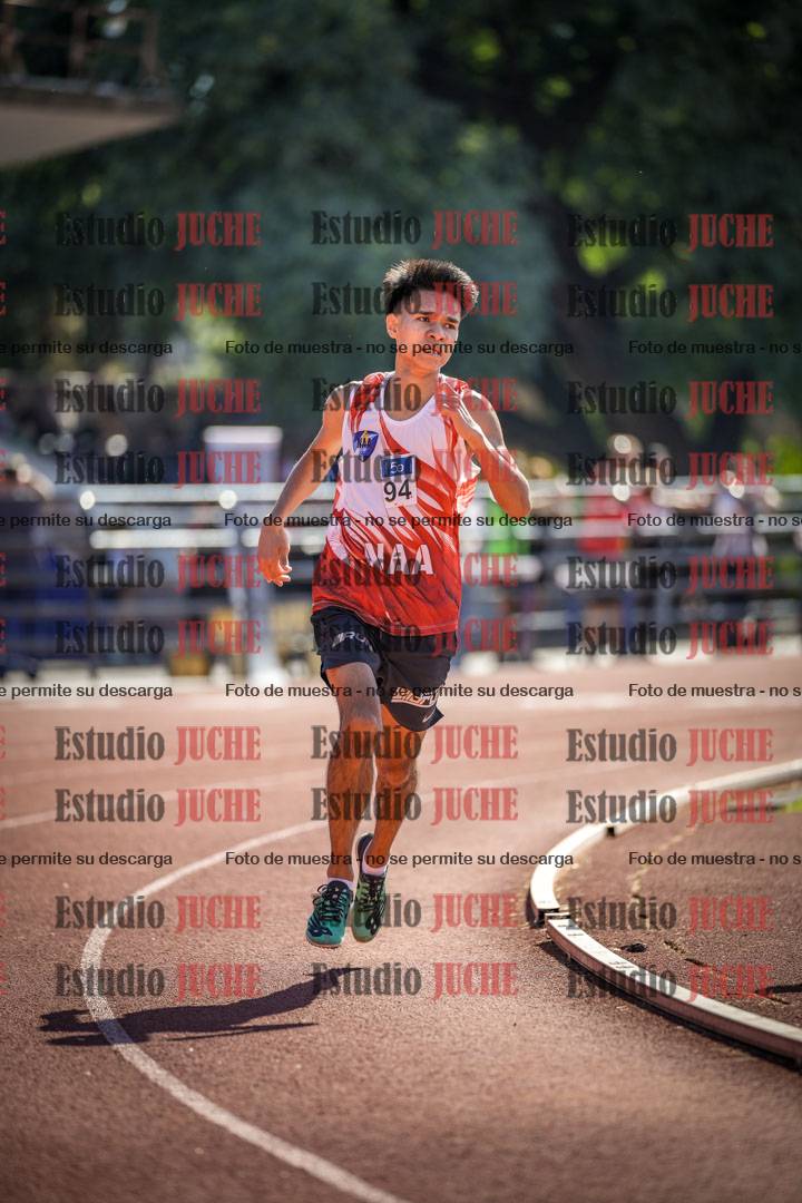 Fotos de los 800 m llanos de varones