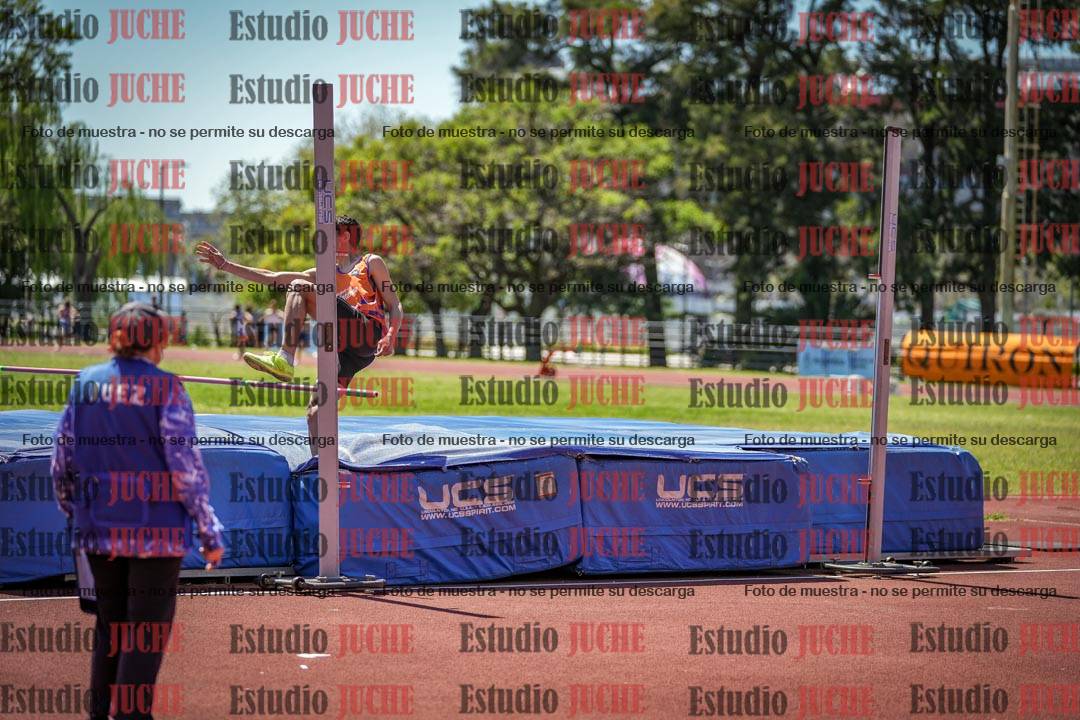 Fotos del salto en alto de varones