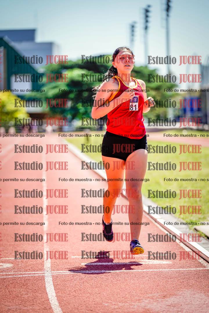 Fotos de los 800 m llanos de mujeres