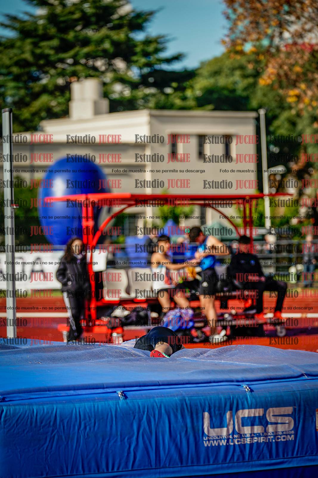 Fotos del salto en alto de varones