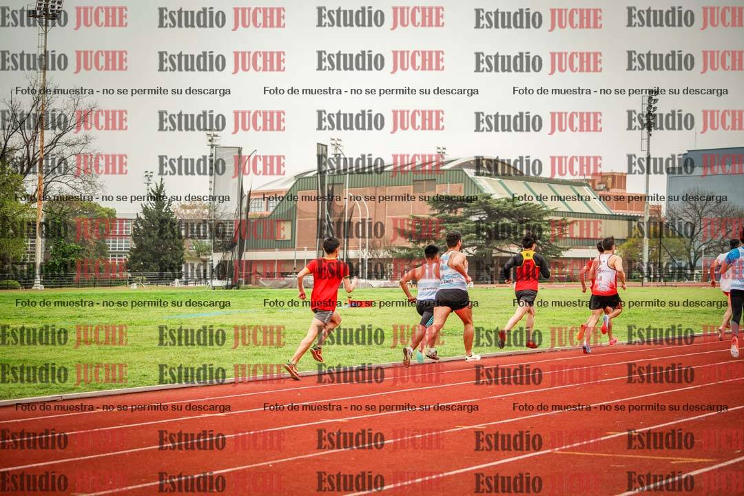 Fotos de los 800 m llanos de varones