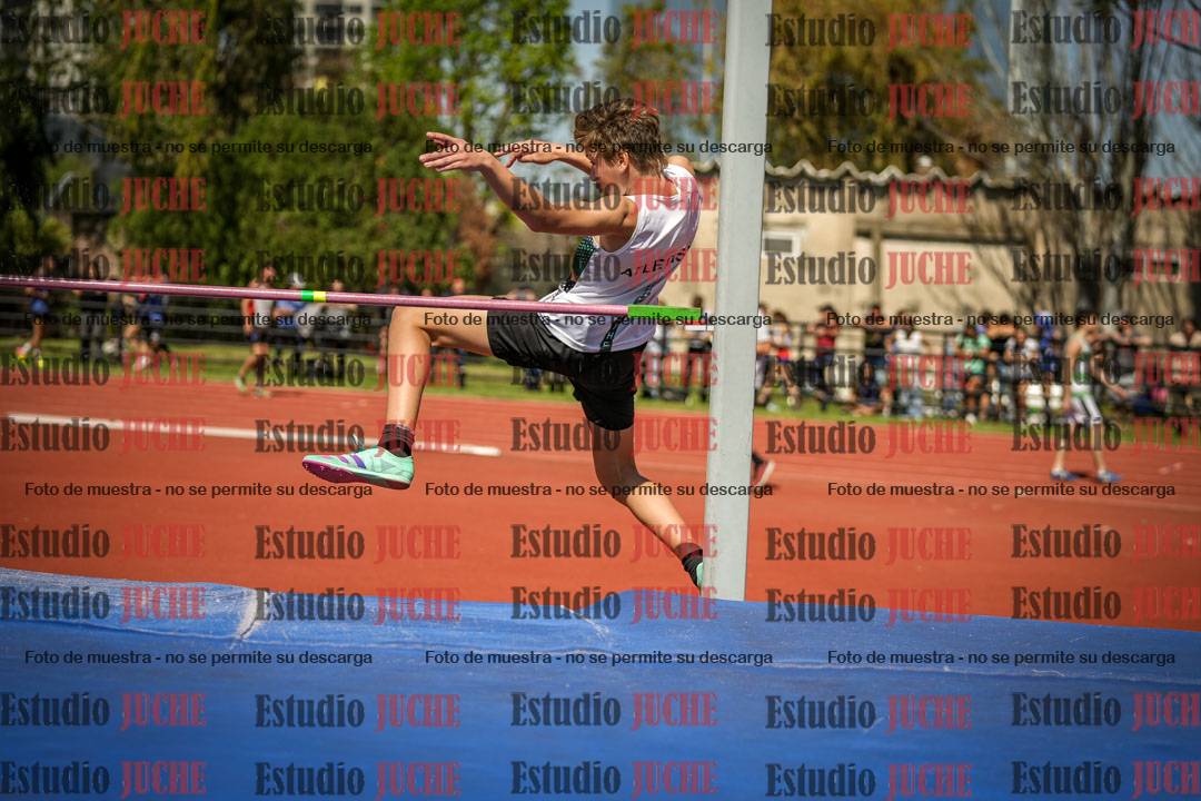 Fotos del salto en alto de varones