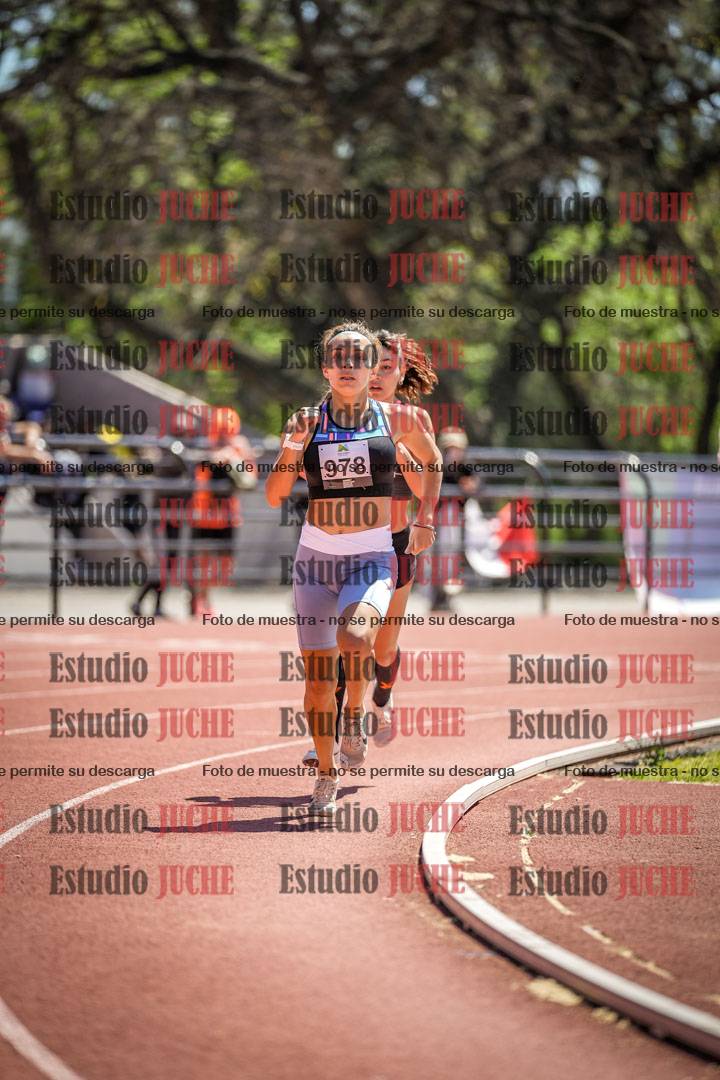 Fotos de los 800 m llanos de mujeres