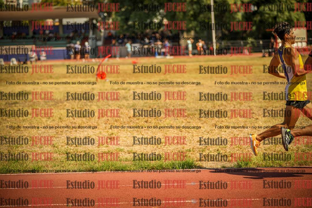 Fotos de los 3000 m llanos de varones