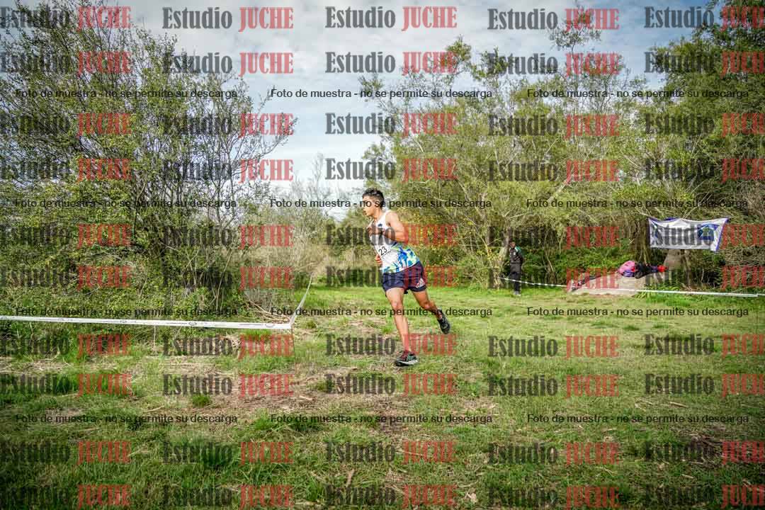 Fotos en el circuito