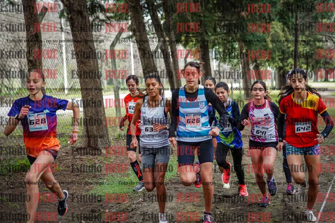 Fotos en de la largada
