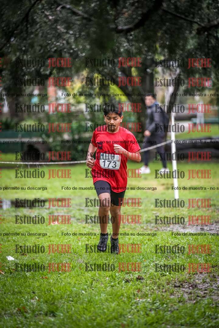 Fotos en el circuito