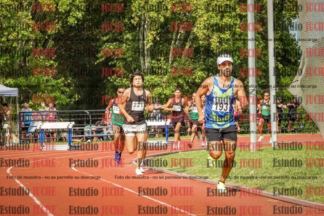 Fotos de los 3000 m llanos de varones