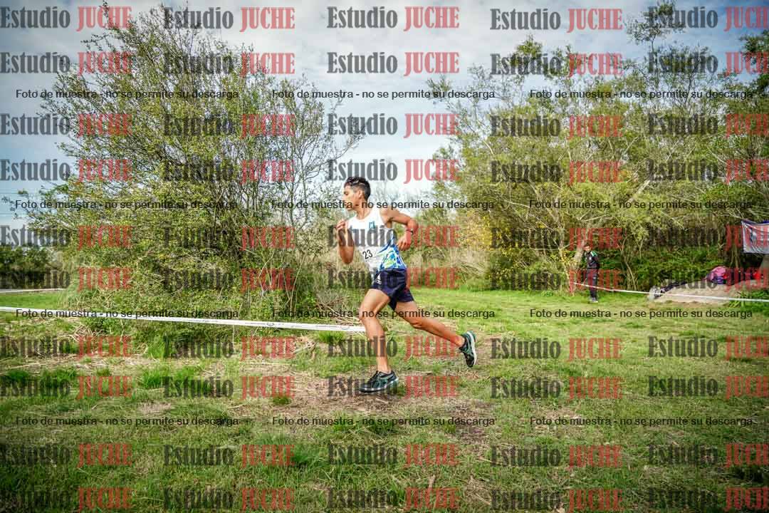 Fotos en el circuito