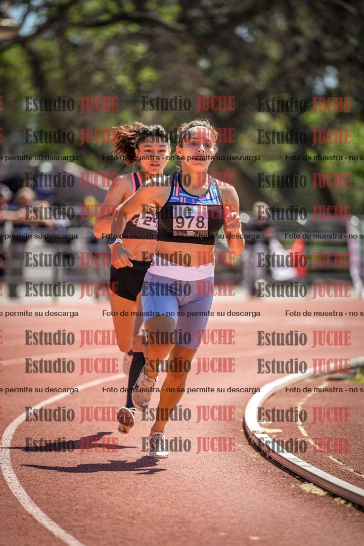 Fotos de los 800 m llanos de mujeres