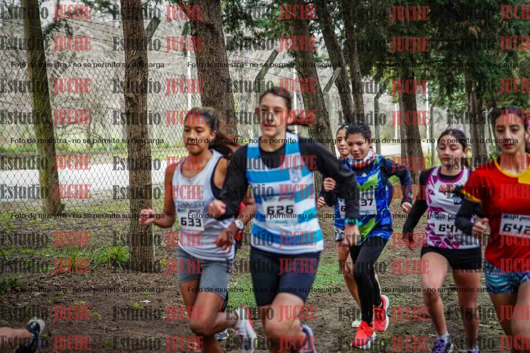 Fotos en de la largada